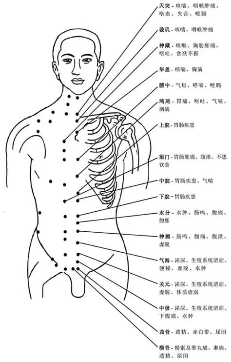 穴位|穴位